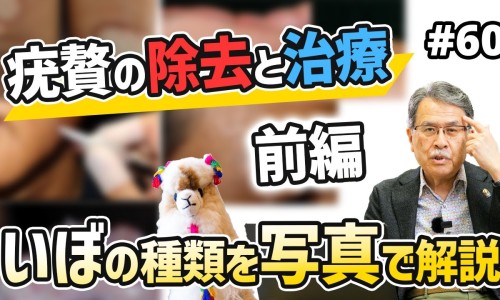 匹维溴铵的付作用-匹维溴铵片说明书 耐特安网 - 为你提供匹维溴铵的付作用、匹维溴铵的说明书